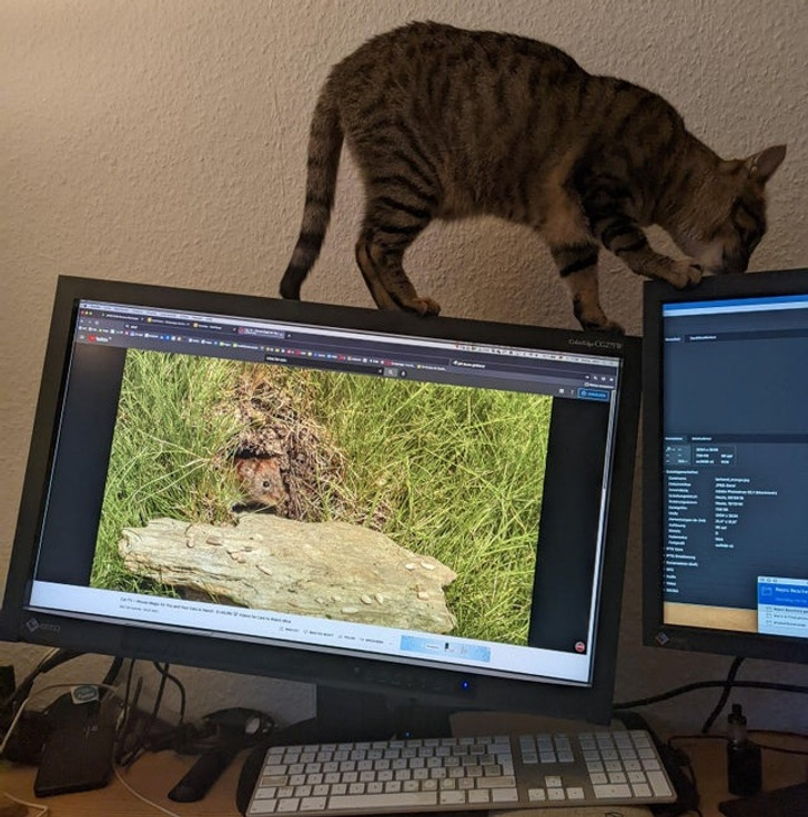 604a3a5da8801386c20b4a6929 604a3a5da8801386c20b4a6929