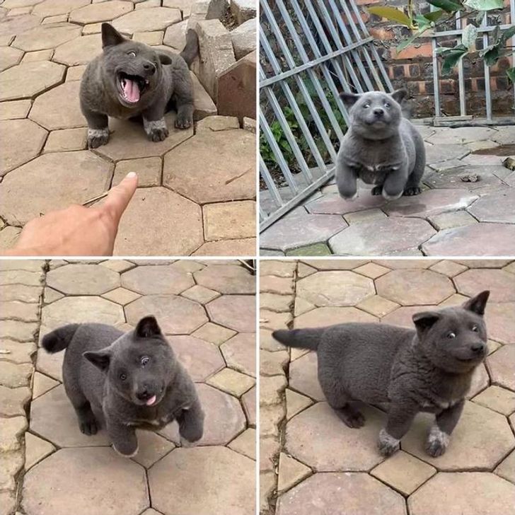 604e5054229889692f9b2a9d64