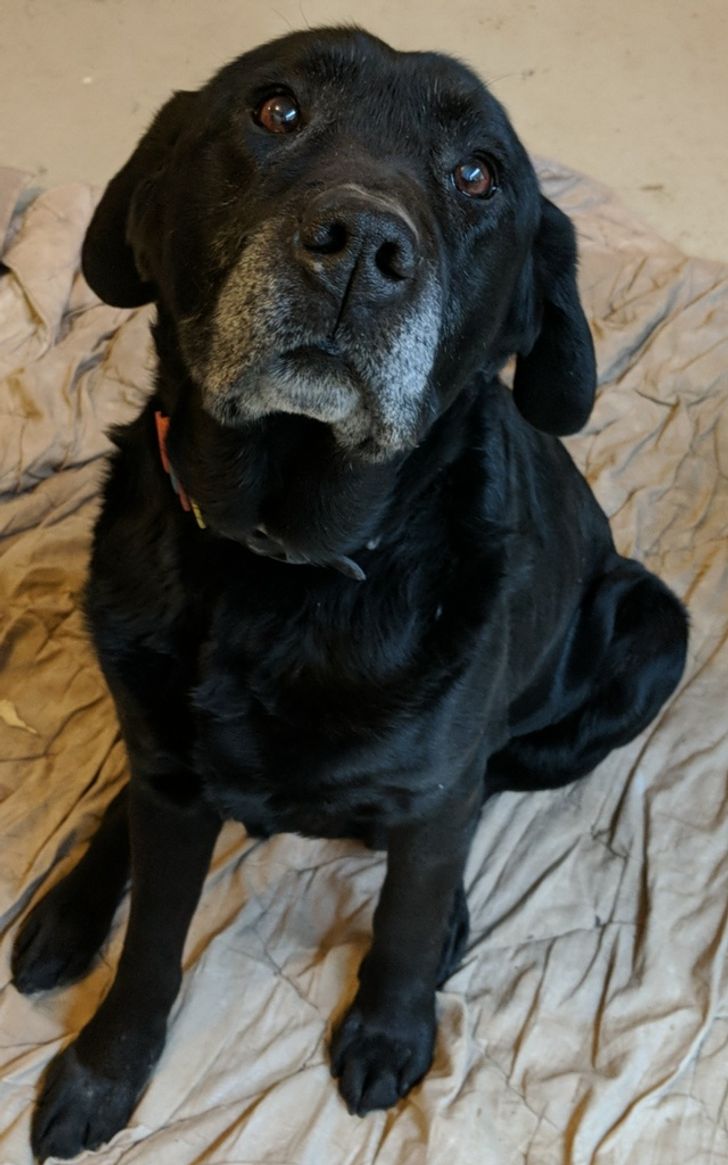 60649655ccb39bea91874a8c8e