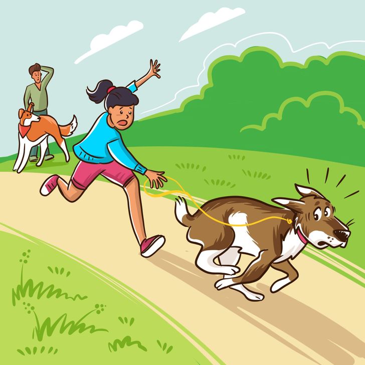 606bfe5185af3e4db2acf506bb