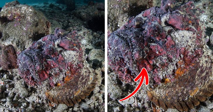 60814e5310bb52557737ba2e6a