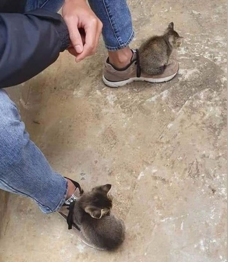 6090225767b6452b3c623b5adb