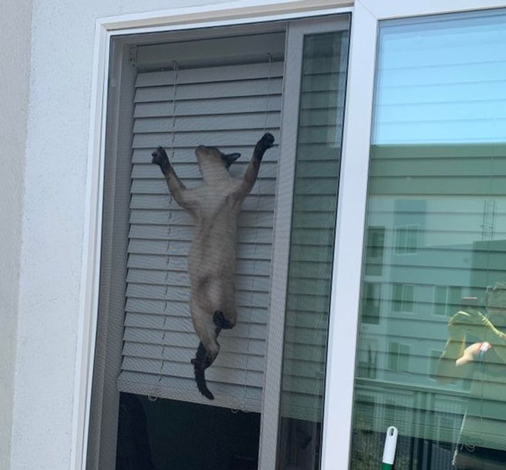 609b8e506da5de8f92667a3e9a