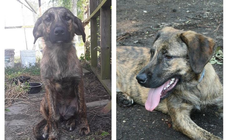 609cbd5b868b94ed626c13bfe2