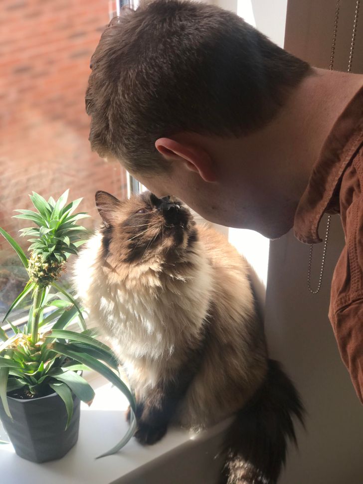 609f085f24a77240e8f9875338