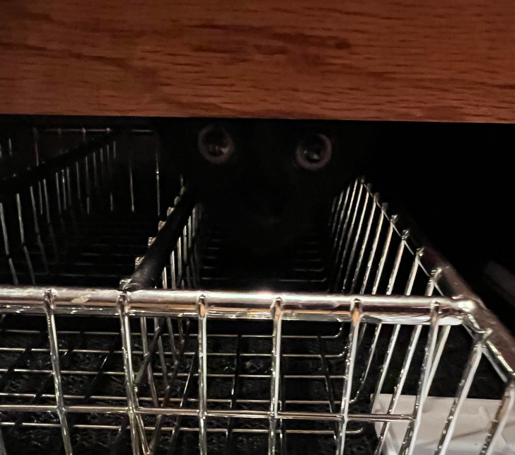 609fb6566b8932c2cb96df3fb2 609fb6566b8932c2cb96df3fb2