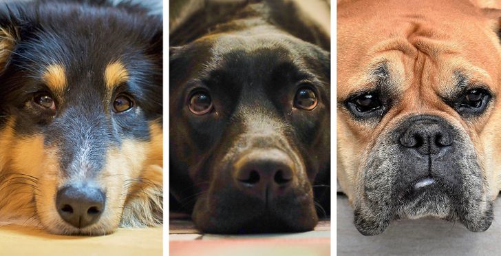 60a6055cd3a4ae2d0ff9f06438