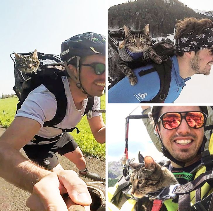 60acaa58bab957a30479f0082d