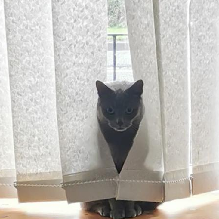 60aed653c48016b8f3dfccba62