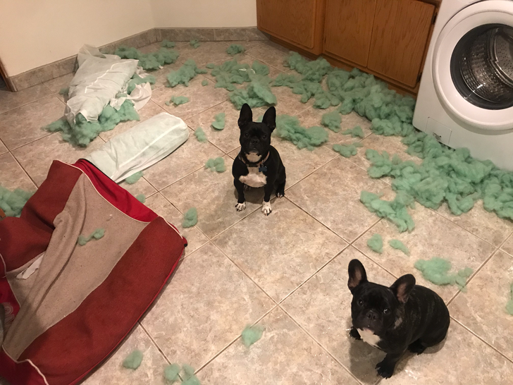 60b01b5c2280c776e5c2187851