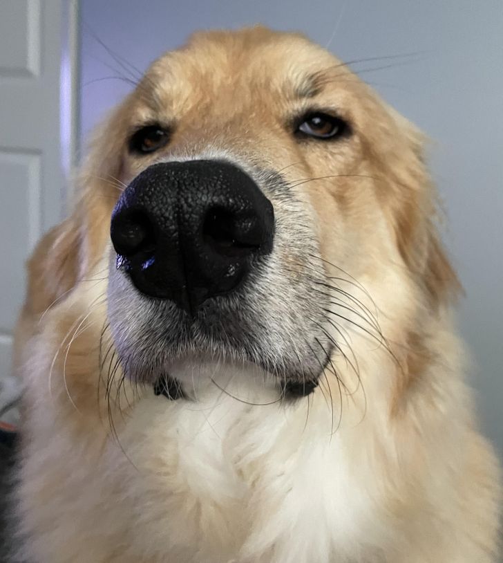 60b2fd5851a28ec2443b606ec4