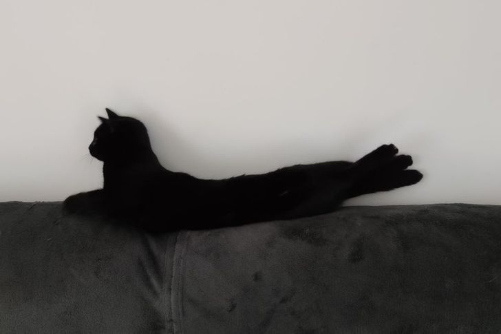 60b35654488992df5dfbc714b6