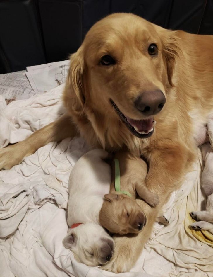 60b73c5c52852d259ce9372e8c