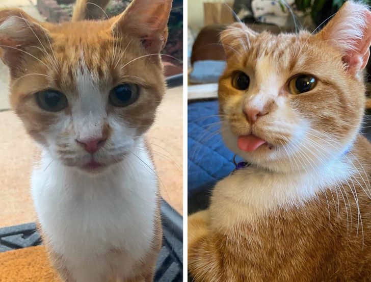 60b84851f188768f6dfb25dc65