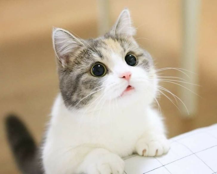 60b9a953e3b9d679293c47a76f