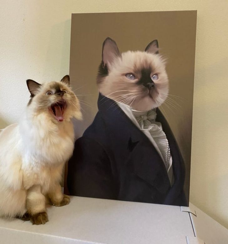 60ce57583c8972303b30244963