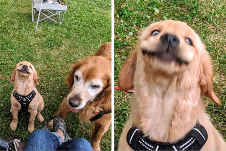 60e65e5fc190e68f9b75141136