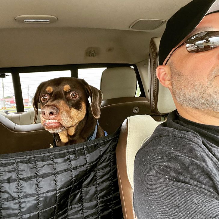 60ea9e5ebf80ec5c3624997904