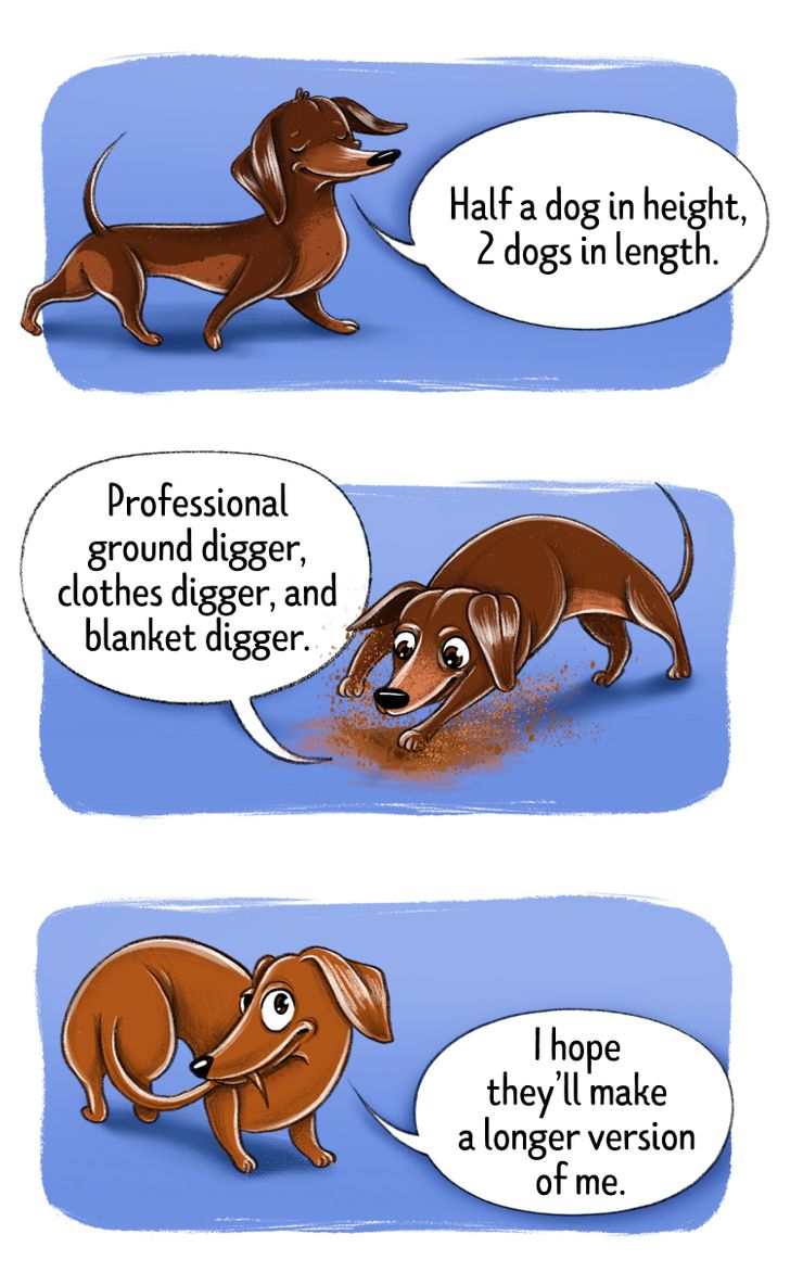 60ebed51ed8931c34babda2098 60ebed51ed8931c34babda2098