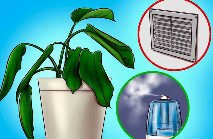 60f39c5d8fb3a6e75a6660ded3