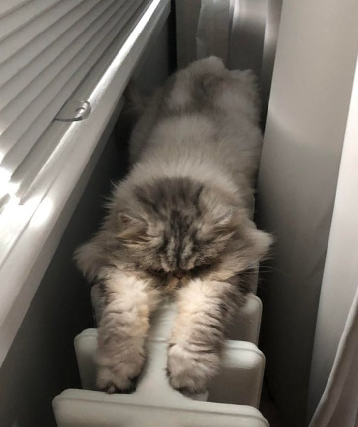 60fb6b50f882ba1e66ecbae879