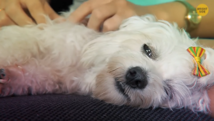 61049459cab4fb6c636b29c15f 61049459cab4fb6c636b29c15f