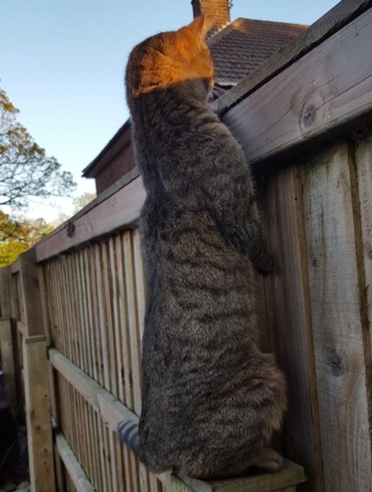 6105f95389ac197346112956fc