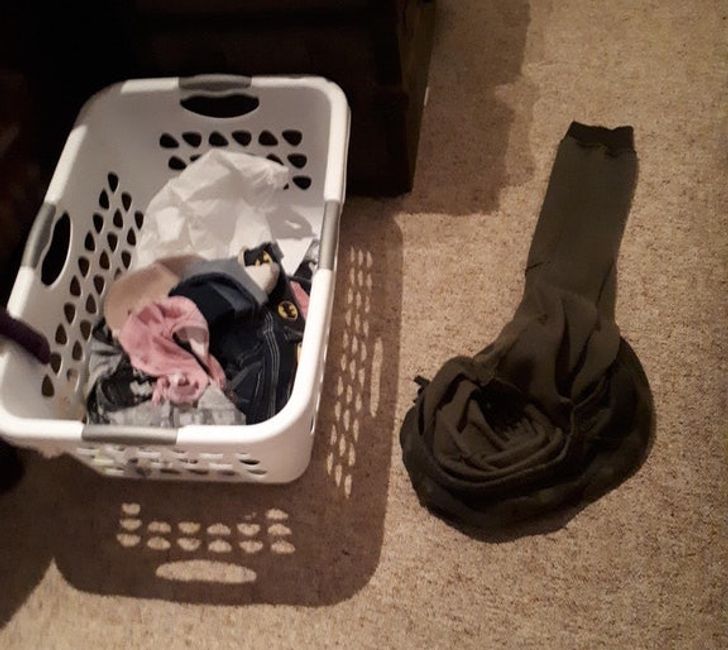 61150950909e7f6e59c09eb5b8 61150950909e7f6e59c09eb5b8