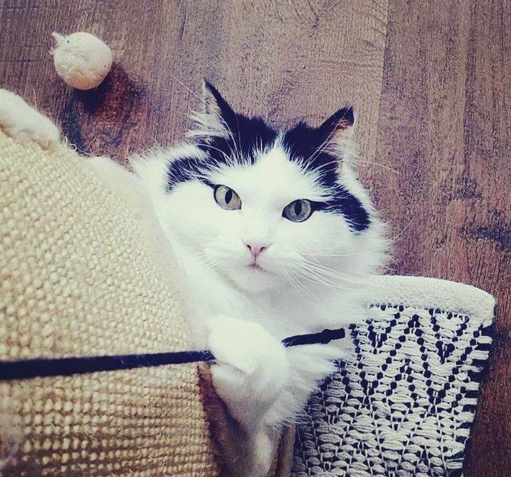 61151d574e812899e3fff21555