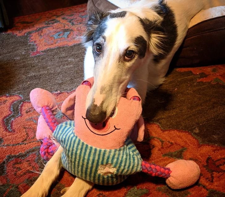 61174a558d84b426ea656d7f94