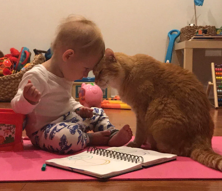 611a5155bbbfdf8a9bb508a163