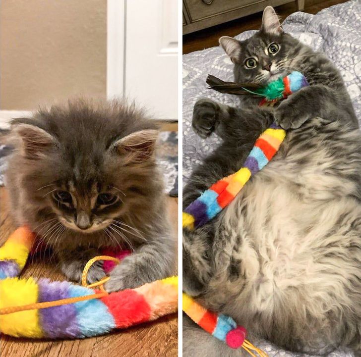 6126545385a3ad08477781f7b6