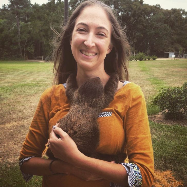 612d1b5960b0e4ebbf9df74872