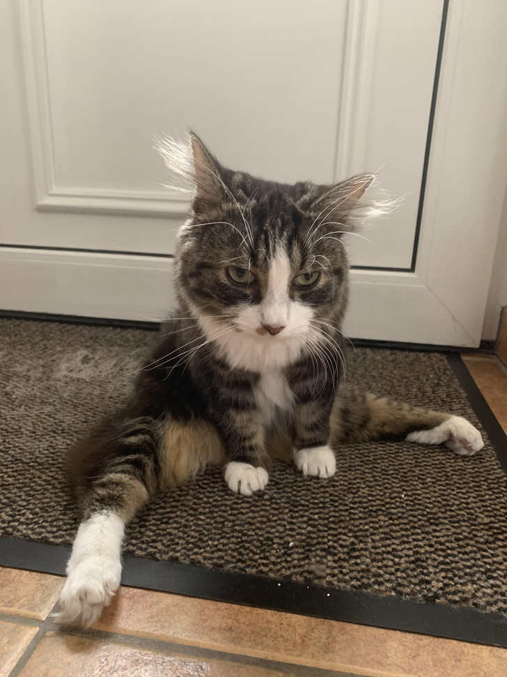 612d8351fba91d3e9e1617dc04