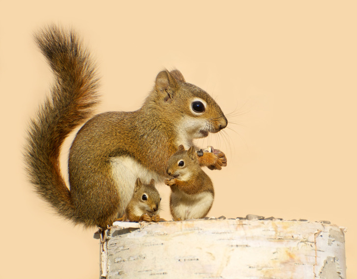 6133ec5156af199bd6c518d650