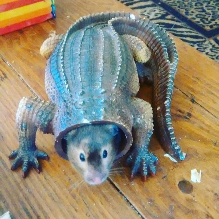 6135b65f87898238159979559b