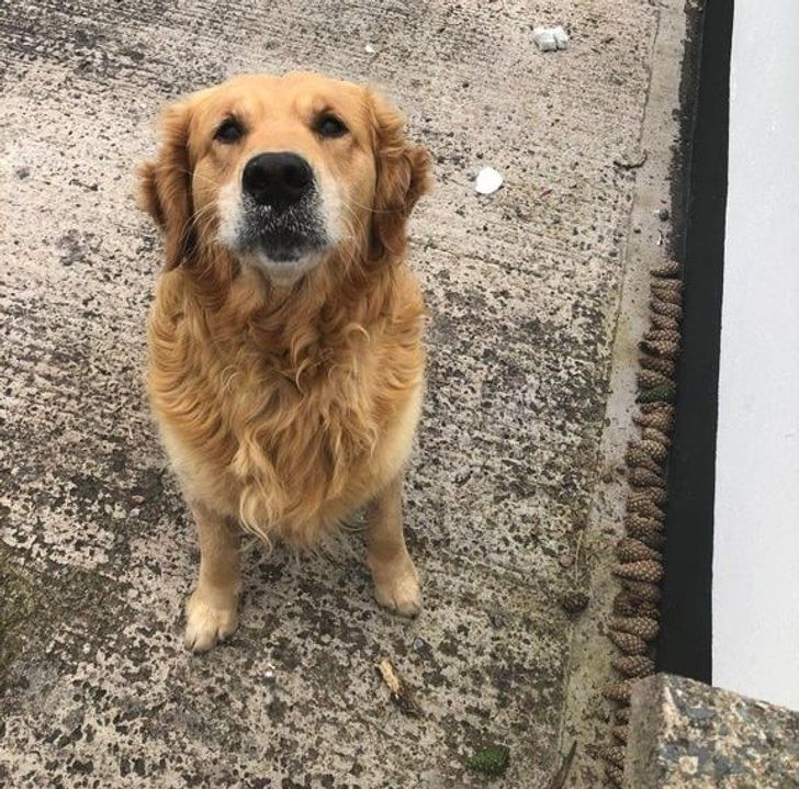 6137fa5f1baeaa87d1f583942b 6137fa5f1baeaa87d1f583942b