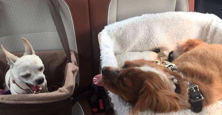 613985513aabeff1b7cc257052