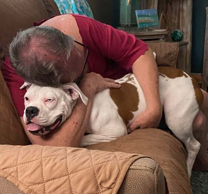 61522a57dabb15b79acb9eb306