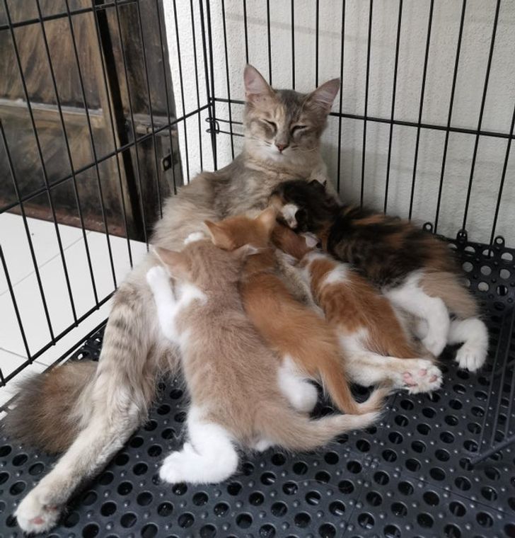 61541f5999a85d34d9bb1458e4