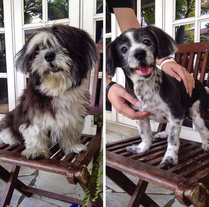 61549458769cb1a9aaa2d708b1