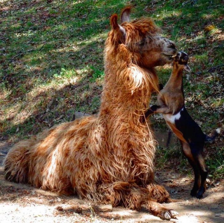 6159e0511ba01f891edc638180