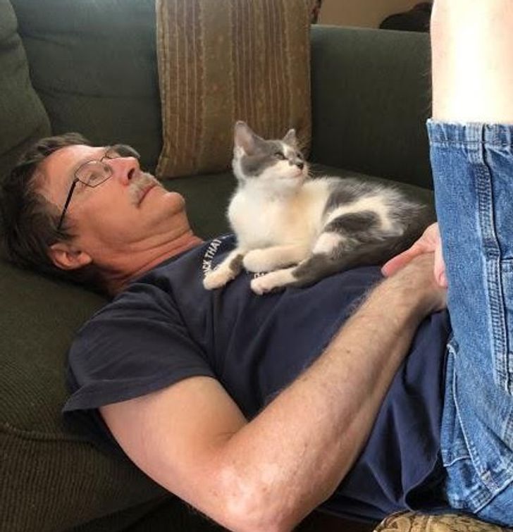 6163dd5785826ae7f564683df7