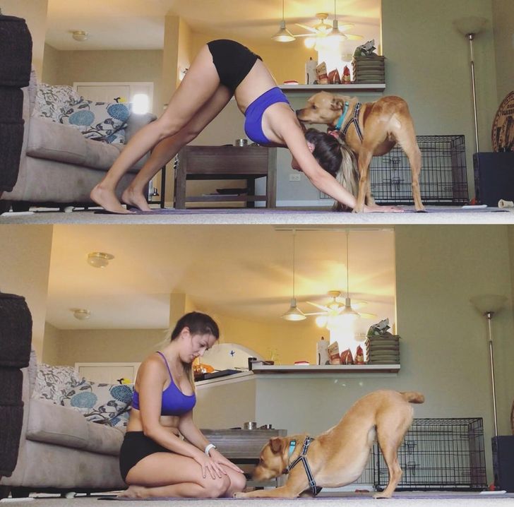 6164955010bddf9961f6fc3b8e