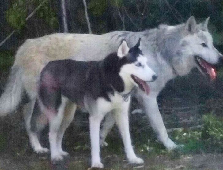 616d795f298891379be980661b