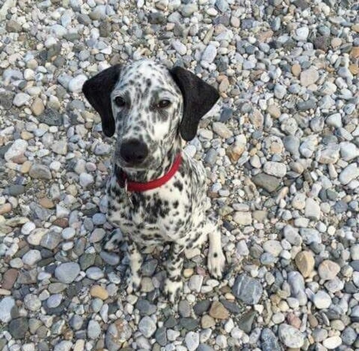 616dad5ff3a3e494342a3bd882