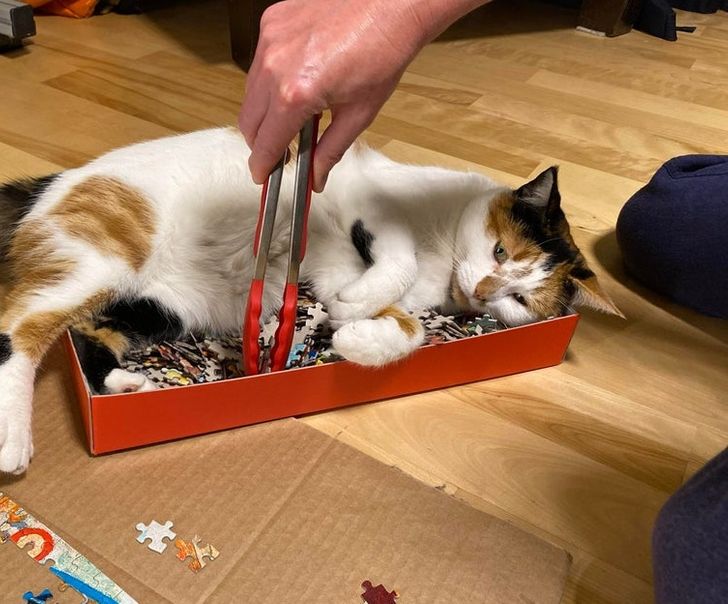 61704e5f43bf1107e43a8c62a7