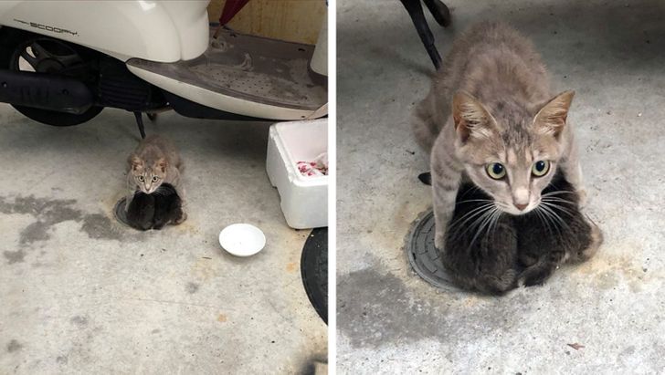 6171a25cc096864c13d1261f74