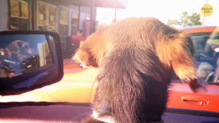 6176355a4889c69a2ffe386f67 6176355a4889c69a2ffe386f67