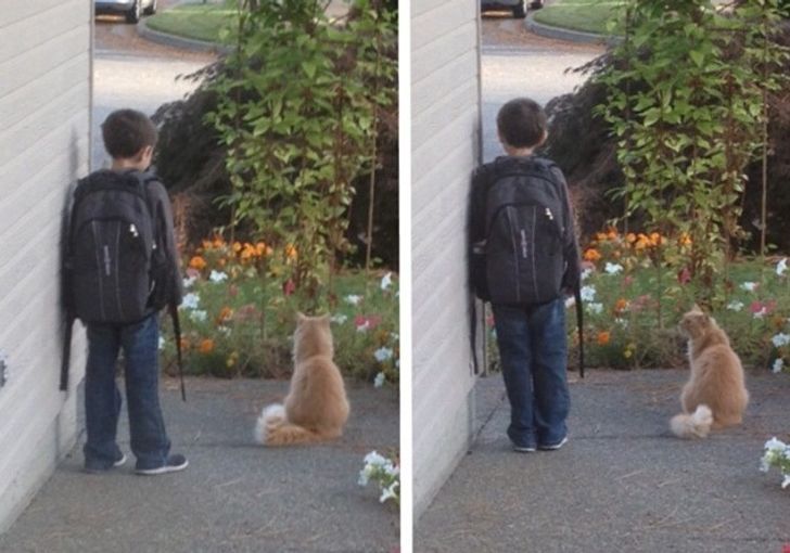 618149510ead03a374a9bcc17b